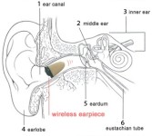 earpiece-in-ear-canel