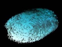 fingerabdruck